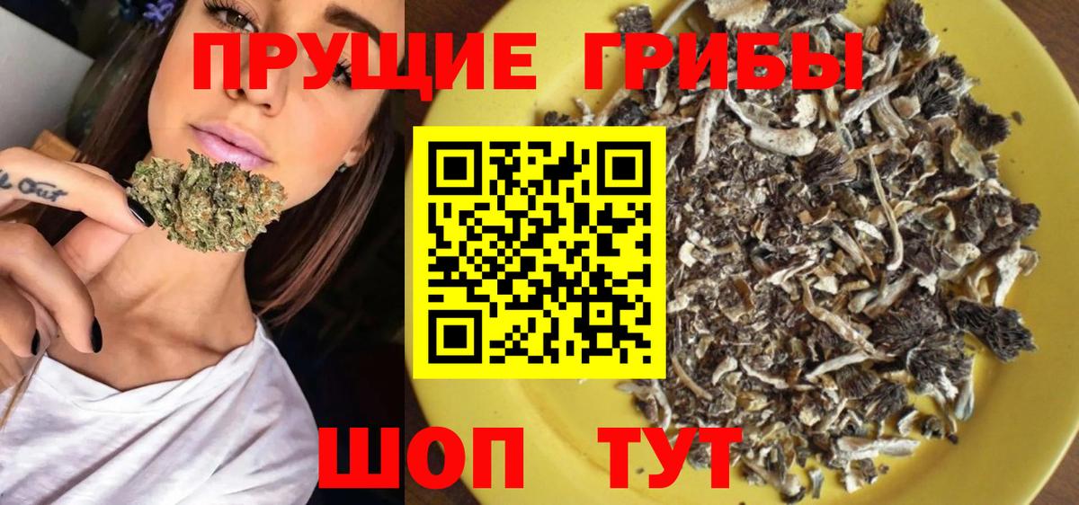 Псилоцибиновые грибы GOLDEN TEACHER  Галлюциногенные грибы Psilocybe  Вход с VPN  Нижний Новгород 