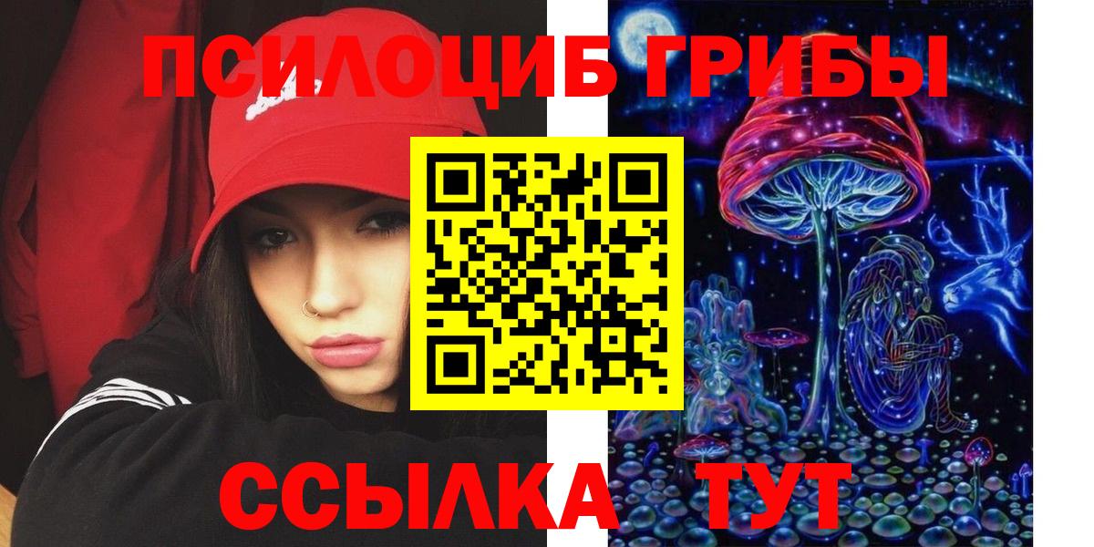 Псилоцибиновые грибы Psilocybine cubensis Нижний Новгород